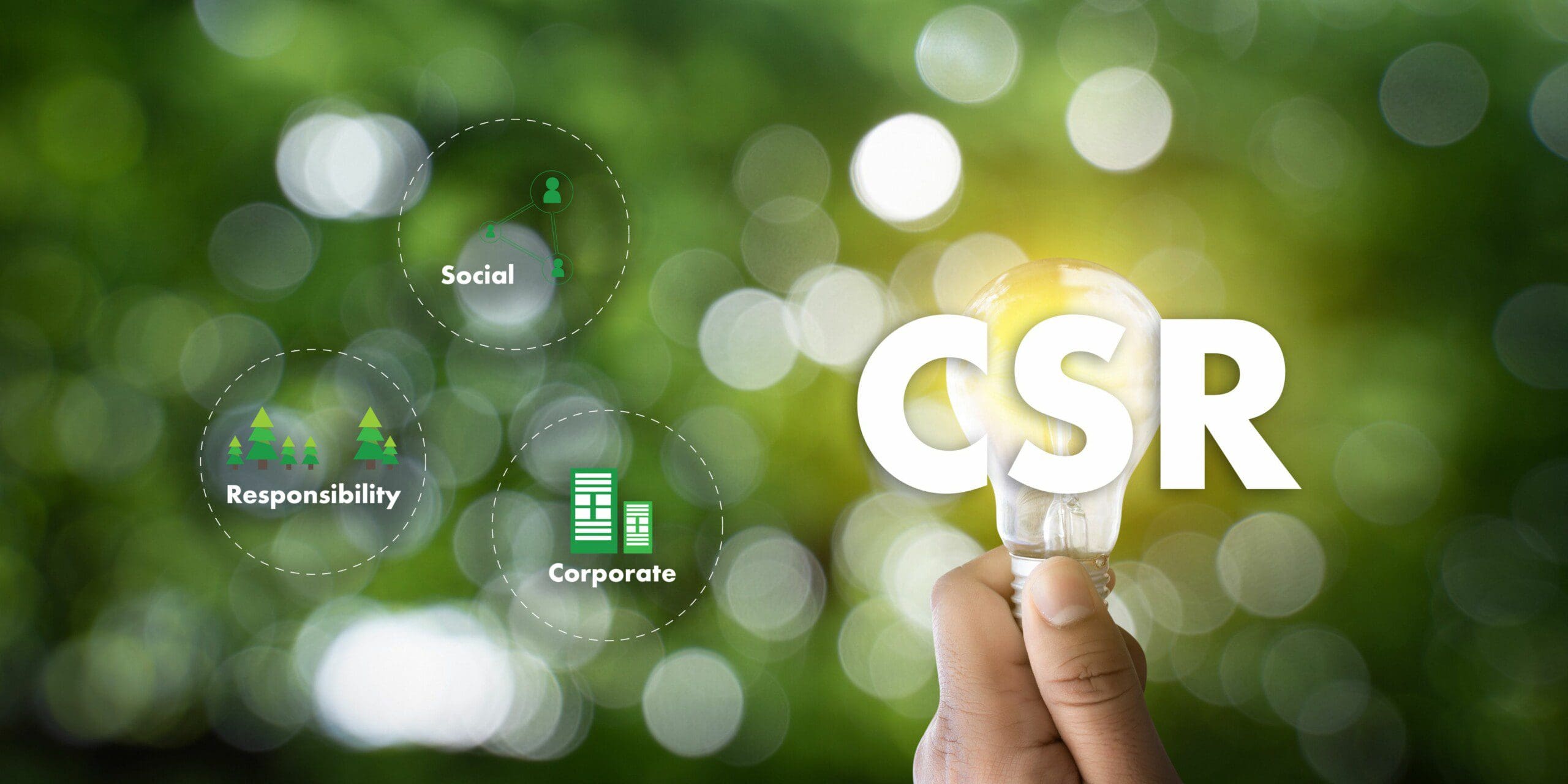 ESG, CSR, and Their Ripple Effect on the Beauty Industry